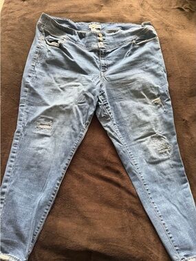 Lane Bryant Light Blue Skinny Jeans with Distressed Detail